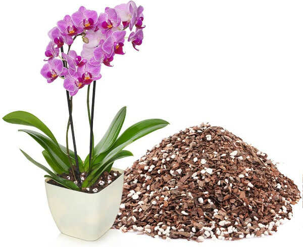 Υπόστρωμα Φλοιός Για Ορχιδέες 5lt FLOWER